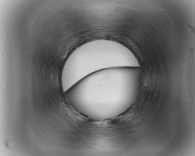 X0000100480524200806130735