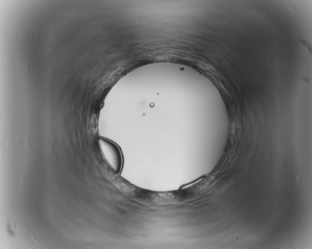 X0000100480525200806130735