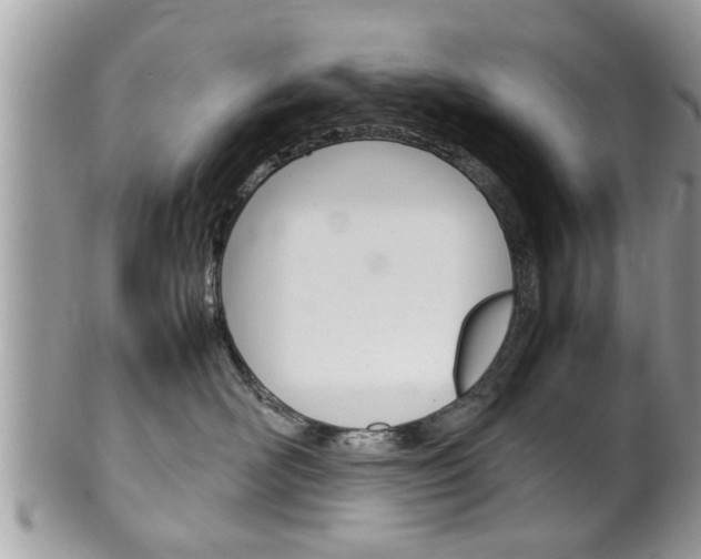 X0000100480526200806130735