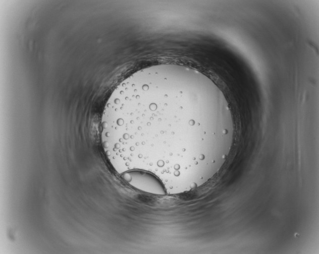 X0000100480527200806130735