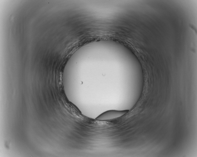 X0000100480528200806130735