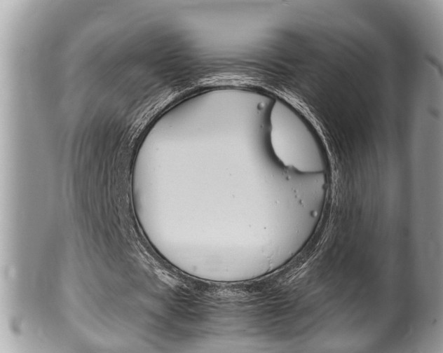 X0000100480529200806130734