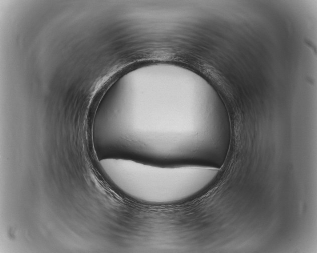 X0000100480532200806130734