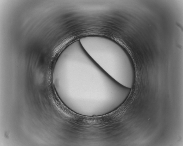X0000100480533200806130734