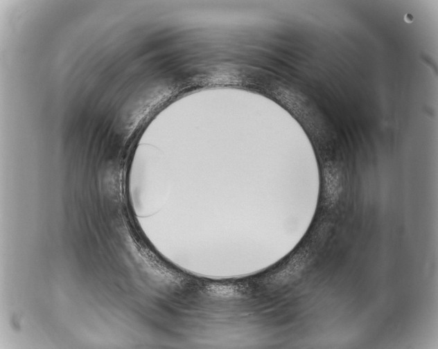 X0000100480534200806130734