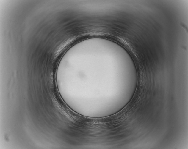 X0000100480535200806130734
