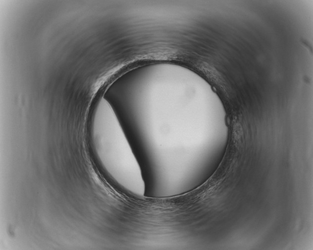 X0000100480536200806130735