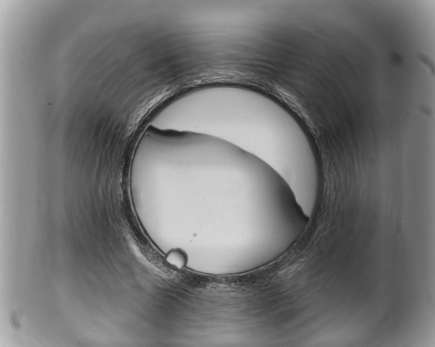 X0000100480538200806130735