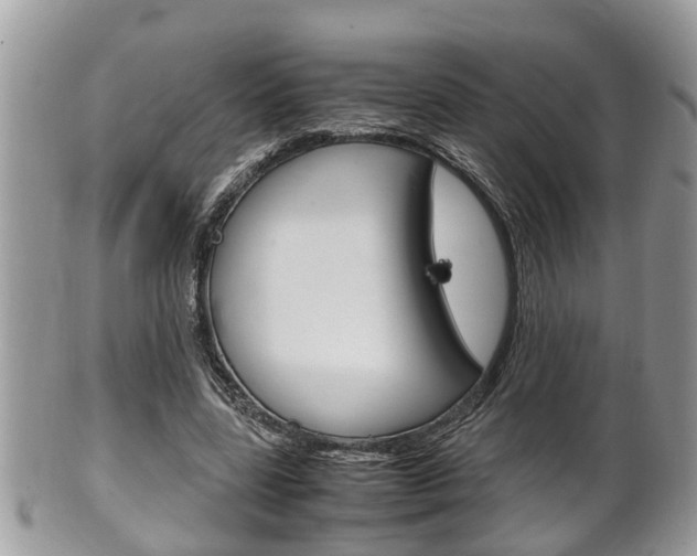X0000100480539200806130735