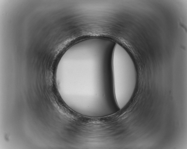 X0000100480540200806130735