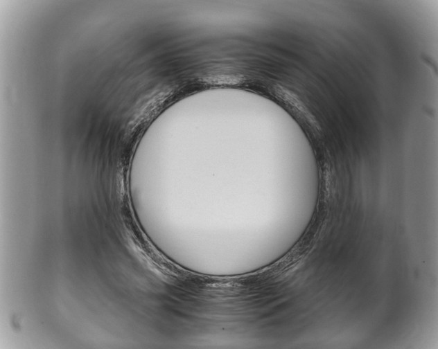X0000100480541200806130735