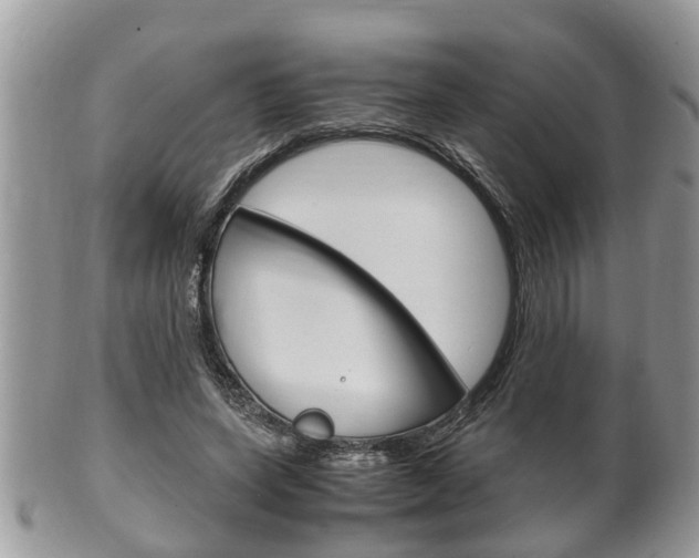 X0000100480543200806130735