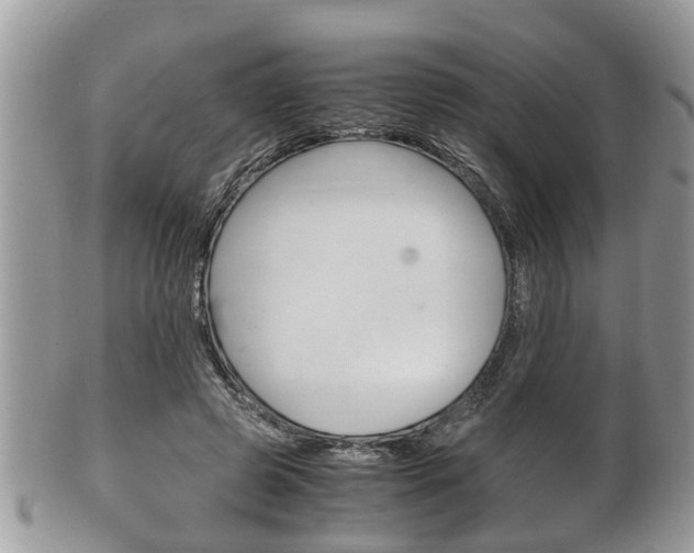 X0000100480545200806130735
