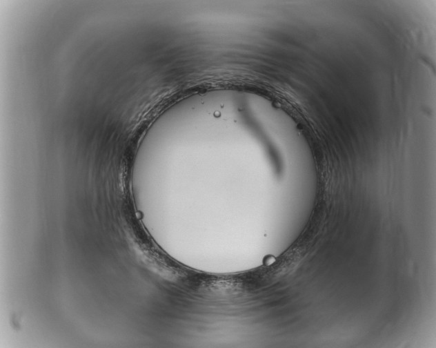 X0000100480546200806130735