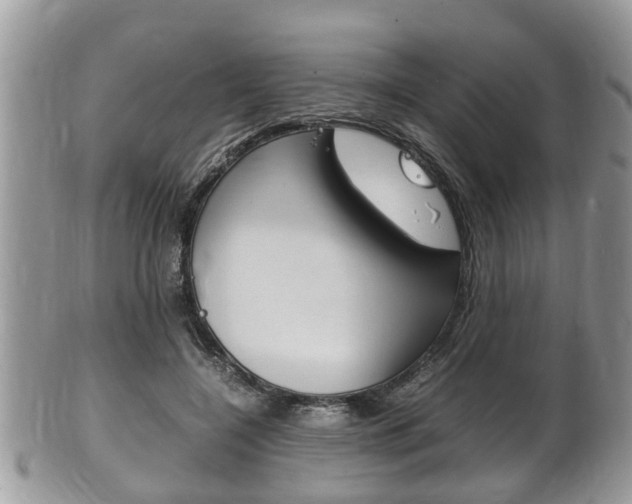 X0000100480548200806130735