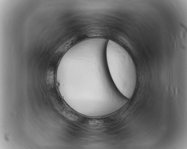 X0000100480549200806130735
