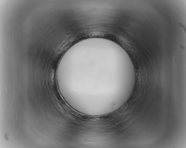 X0000100480550200806130735