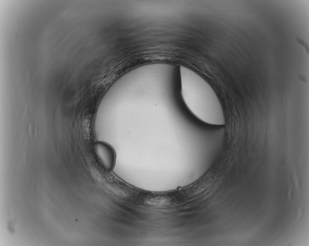 X0000100480551200806130735