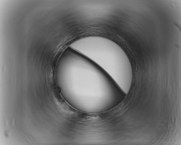 X0000100480552200806130735