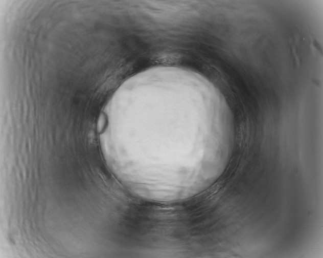 X0000100480553200806130735