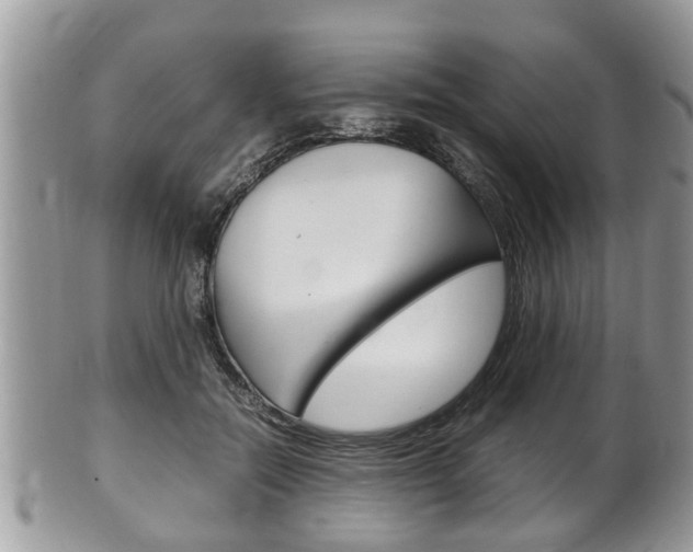X0000100480554200806130735