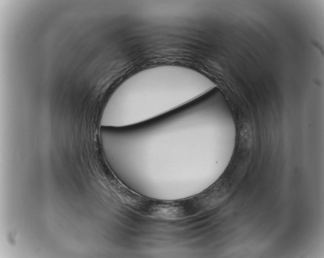 X0000100480555200806130735