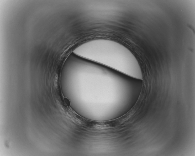 X0000100480556200806130735
