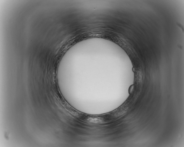 X0000100480557200806130735