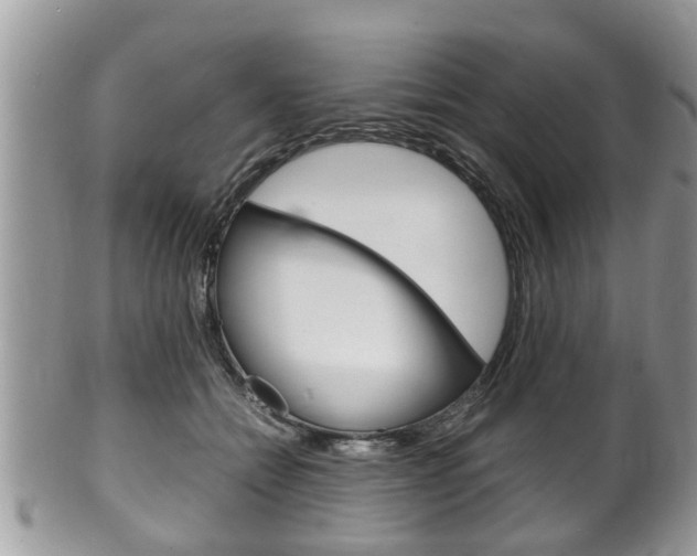 X0000100480558200806130735