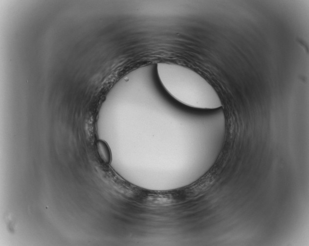 X0000100480559200806130735