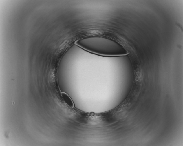 X0000100480560200806130735