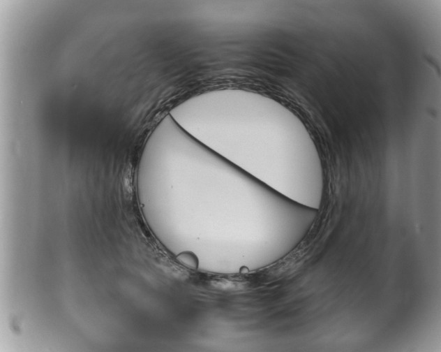 X0000100480561200806130735