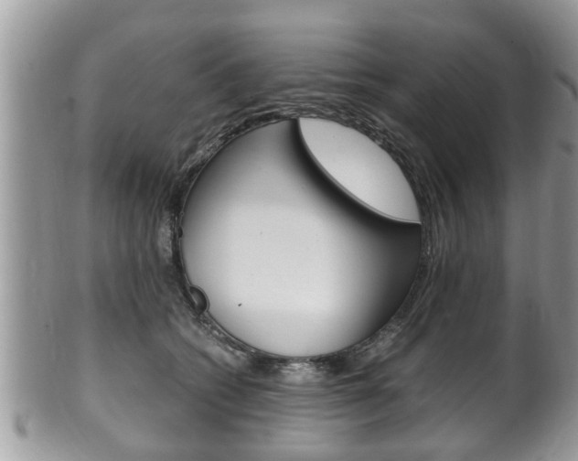 X0000100480562200806130735