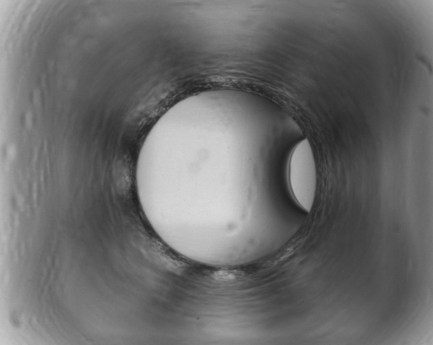 X0000100480566200806130735