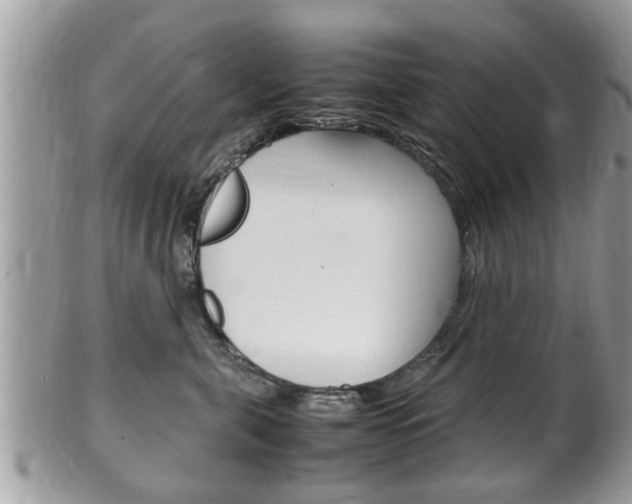 X0000100480571200806130735