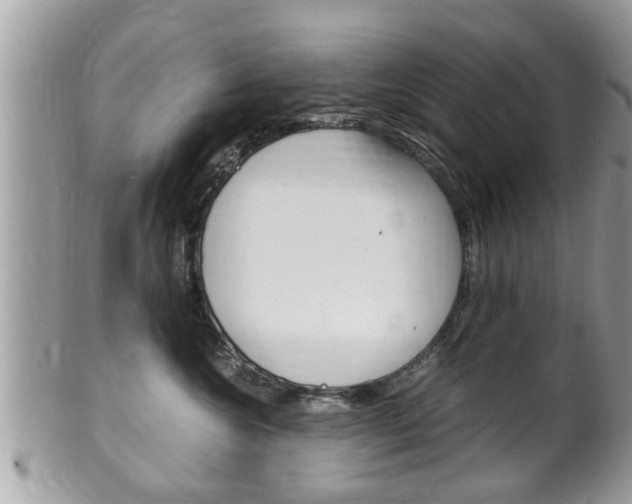 X0000100480572200806130735