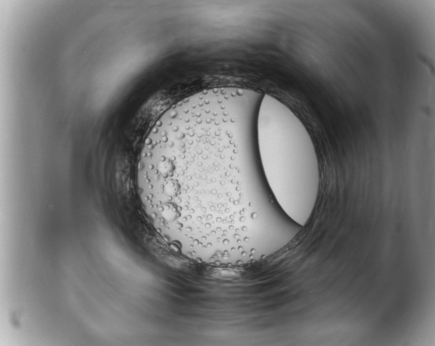 X0000100480573200806130735