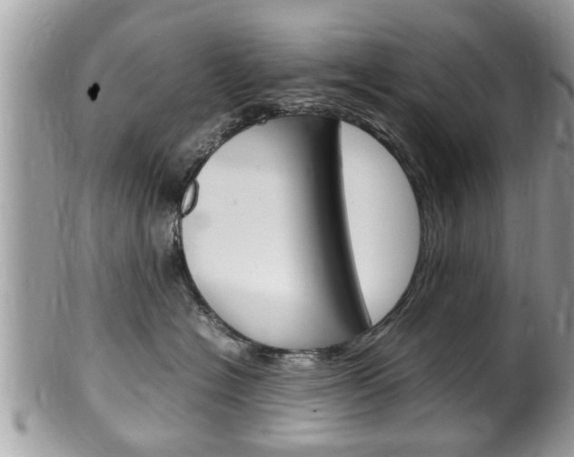 X0000100480574200806130735