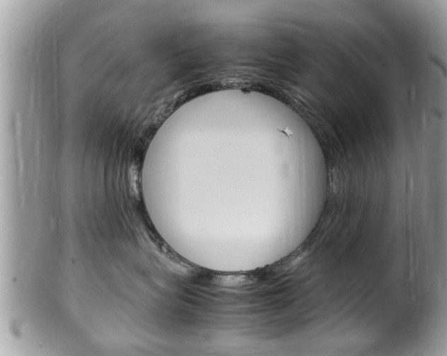 X0000100480575200806130735