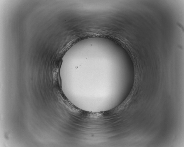 X0000100480576200806130735