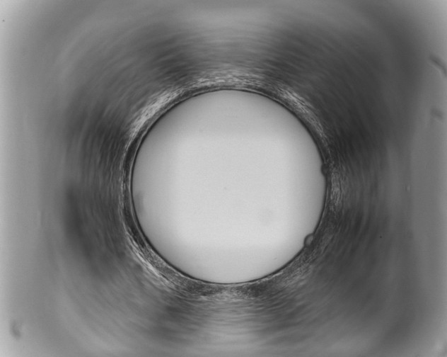 X0000100480578200806130734
