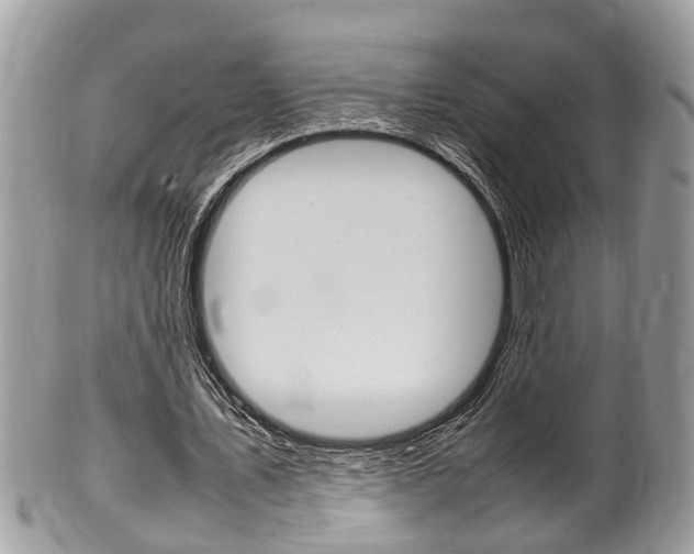 X0000100480579200806130734