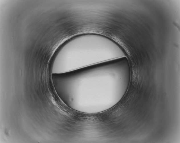 X0000100480580200806130734