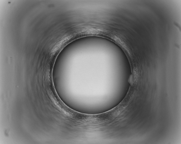 X0000100480581200806130734