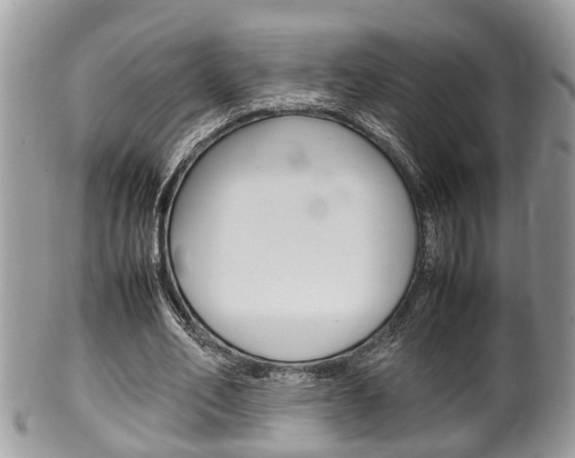 X0000100480582200806130734