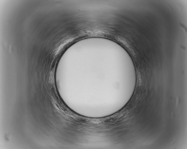 X0000100480583200806130734
