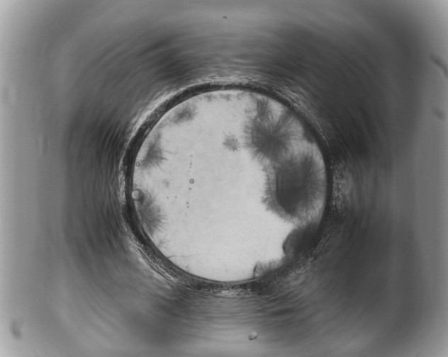 X0000100480584200806130734