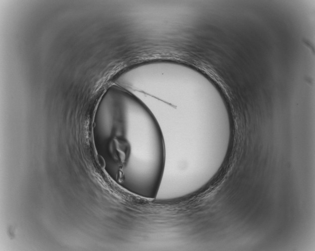 X0000100480585200806130734