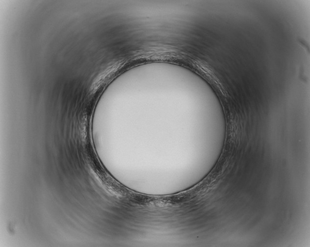 X0000100480586200806130734