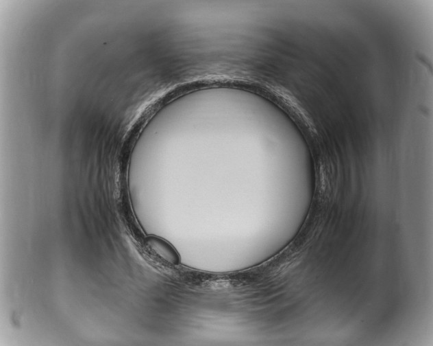 X0000100480588200806130734